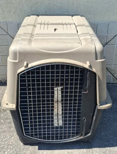 Caixa grande para transporte de pet