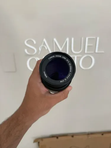 Canon EF-S 55-250mm f/4-5.6 IS STM