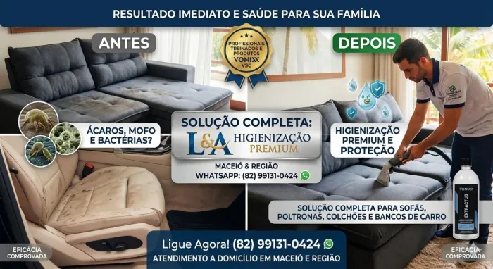 Lavagem a seco profissional