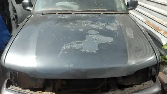 Capo Chevrolet Blazer 1998 1999