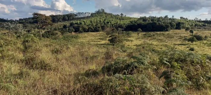 374 hectares, Terreno com árvores e área verde - Ótimo para descanso!