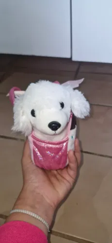 Cachorrinho na bolsa