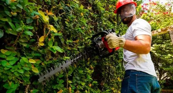 Serviço profissionais de jardinagem e limpeza