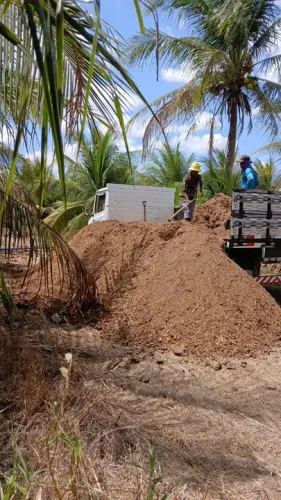 Adubo para plantas