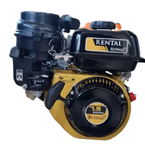 Motor a gasolina Rental 7.5cv ( Buffalo )