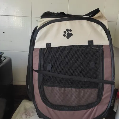 Casinha Pet