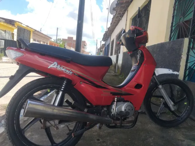 Phoenix Gold 49Cc 