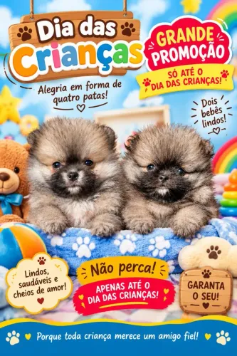 Machinhos de Spitz Alemão 