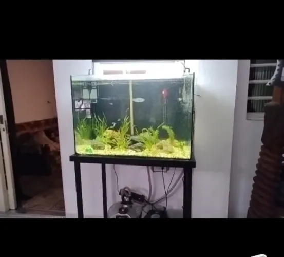 Aquário 220l