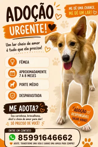 Adoção responsável 
