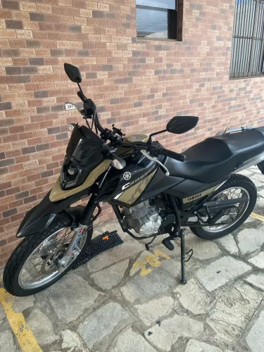 Moto Crosser 150 2024