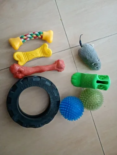 Brinquedos pet