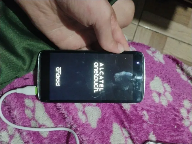 Celular