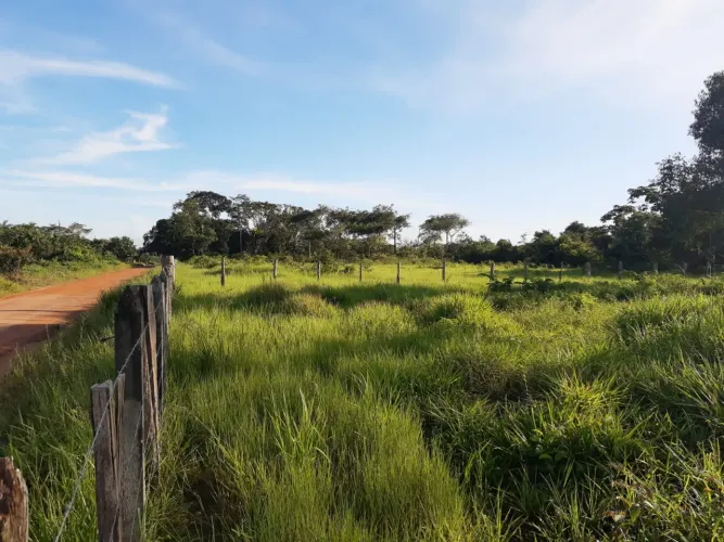 VENDO FAZENDA NA ESTRADA DE ABAETETUBA 125 HECTARES    