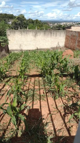 Vende-se um lote 185m