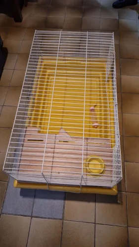 Gaiola para Coelho Bragança amarela