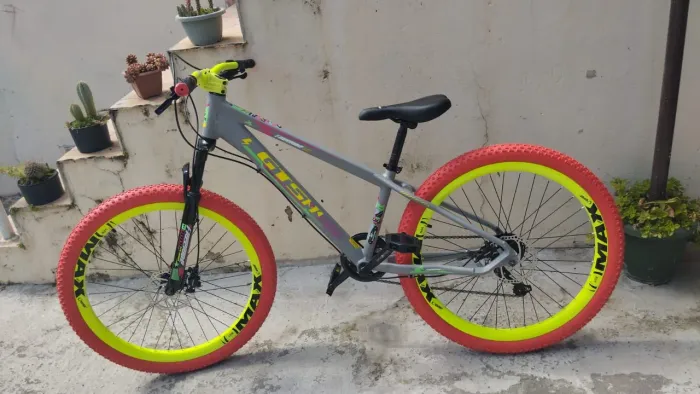 Bicicleta