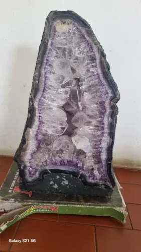 Amentista