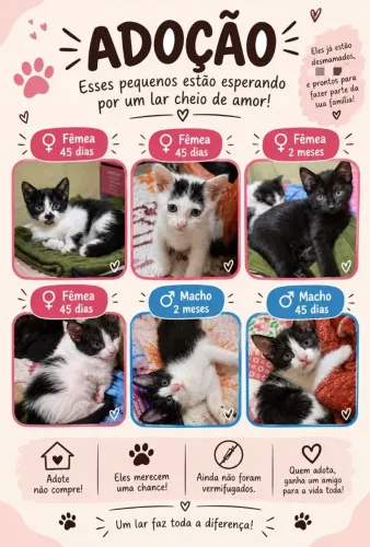 Somente adoção responsável