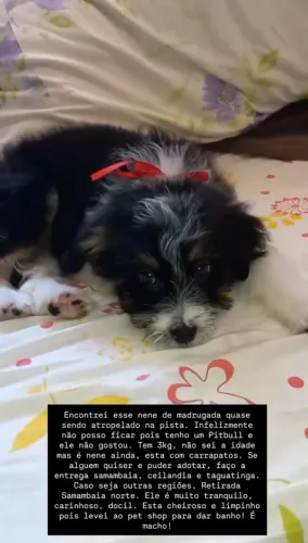 Doação