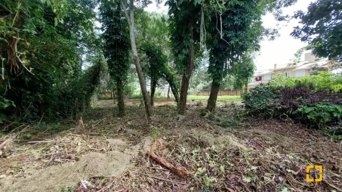 Terreno plano no Campeche central em Florianópolis SC