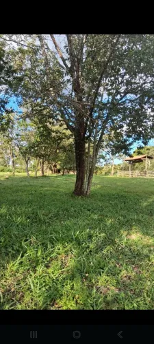 Alugo aluguel aluga pastos vedados 3.5 alqueires formados dividisos cercados em Pirenópoli