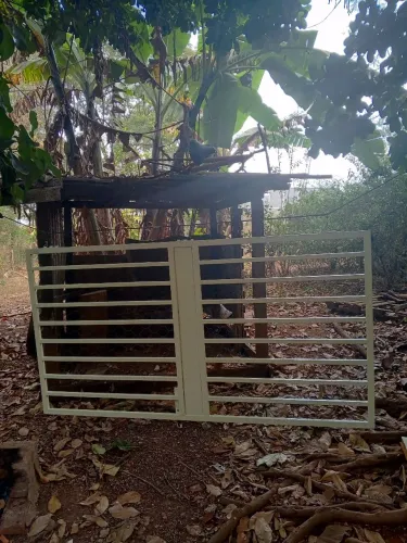Vende-se portão vazado