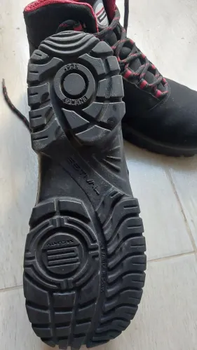 Bota