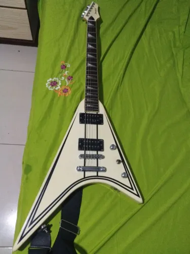 Guitarra Steinberg flig v