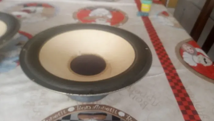 Alto falantes Gradiente 10 polegadas originais