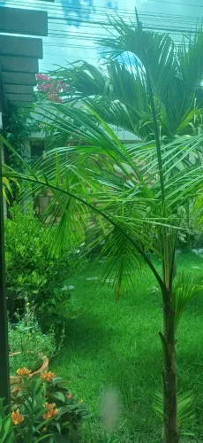 ÁREA RURAL DE TERESINA