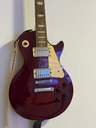 Guitarra shelter les paul