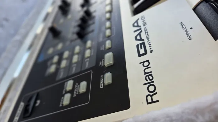 Sintetizador Roland Gaia S-01