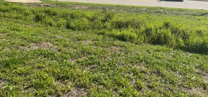 Terreno Aclive em Condomínio - Condomínio Terras Alpha - Urbanova - 330m².