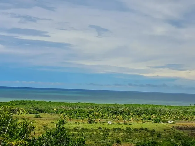 Área no litoral sul da Bahia