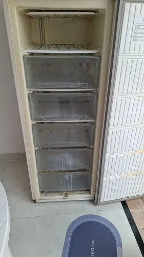 Freezer precisa trocar gás 