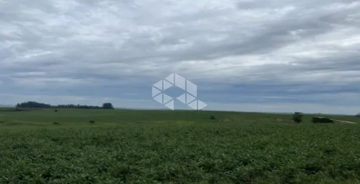 Propriedade Rural com excelente aproveitamento no Pampa Gaúcho