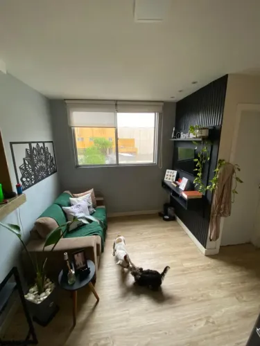 Porteira fechada: apartamento mobiliado e decorado no Parque Albatroz