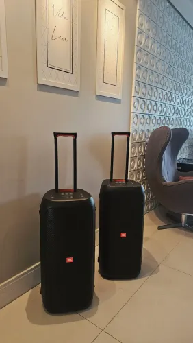 JBL PARTYBOX 310 - POTÊNCIA, GRAVES E MUITA QUALIDADE!