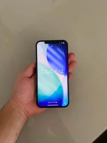iPhone 12 Pro Max 256gb