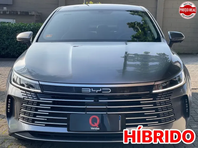 BYD King GL 1.5 16V Aut. (hibrido) 2026