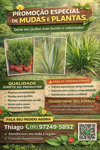 Plantas e Gramas ornamentais . 