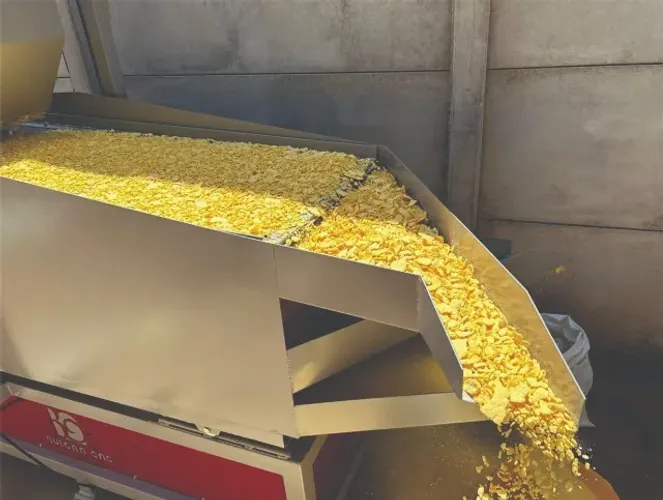 Lavadora / Raladora / Torrador / Extratora de goma de Mandioca