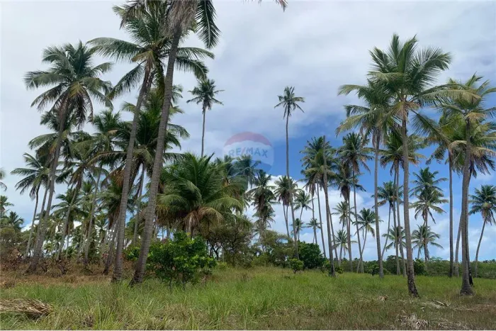 Terreno Imperdível em Tamandaré - 3942m²