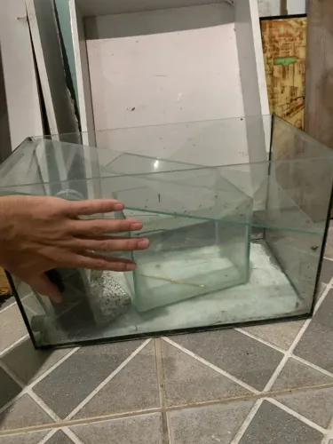 Aquário 