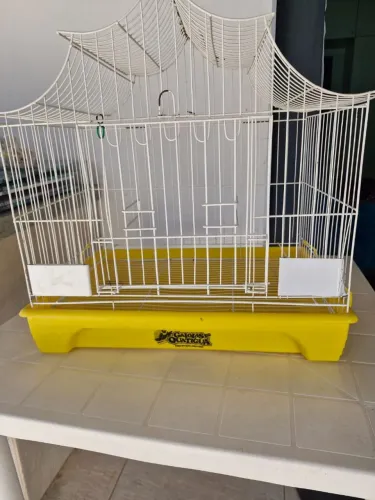 Gaiola de passarinho/calopsitas