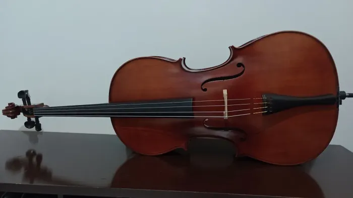 Cello ce300