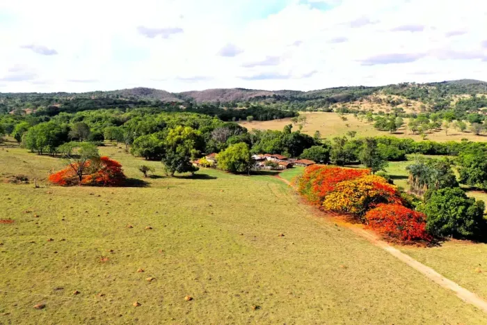 Fazenda a venda, em Anhanguera/ Goiás!!!