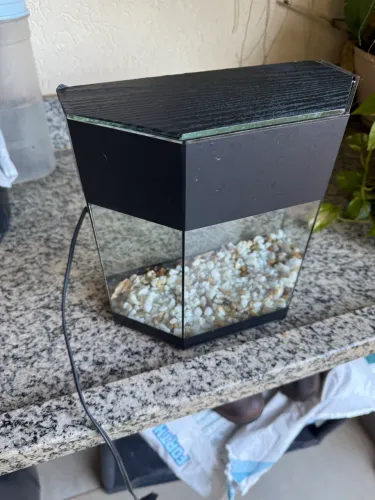 Aquário 7L com luz