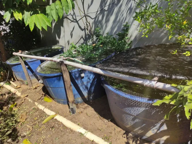 03 Caixas d'água de 1000 litros Amanco